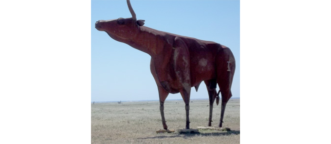 Long Horn Bull